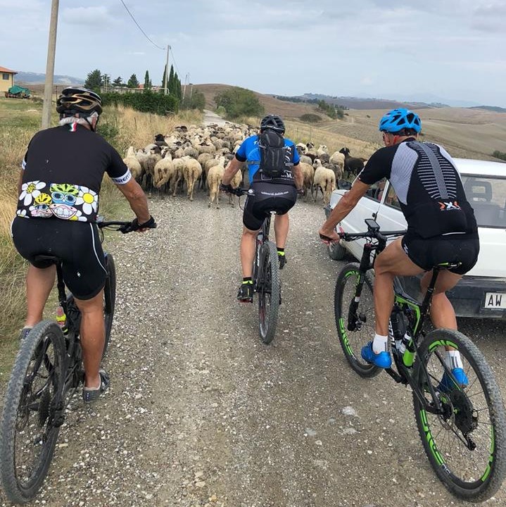 298 Pastori e Tubless !!